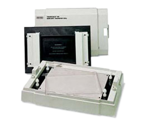 Trans-Blot SD Semi-DryTransfer Cell 半幹轉印儀